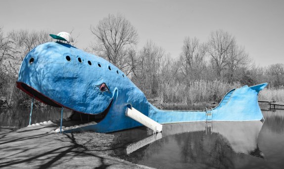BlueWilly3
